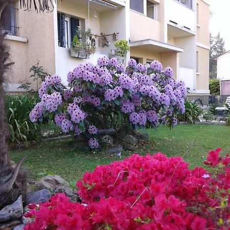 Apartamento Les Floralies Bis Pau Exterior foto